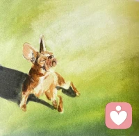 看見什么，都不如看見自己。配圖