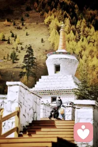 每個靈魂都是半人半鬼，
湊太近了，誰都無法看。配圖