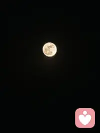 浅夏悠悠，静享安然，
总有美好，涉水而来。