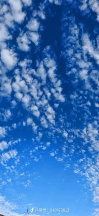 什么样的感情是一种适宜的感情？
当你遇到一个人， 心里会产生像蝴蝶在心里上下扑腾一般志忑不安的感觉，接受它。 只是从这种感觉产生的第一天起，就不要陷入任何期待与希望，如果你能够做到，这便是一种适宜的感情。