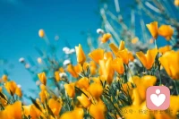 不要對人過度付出
沒有人逼你付出，是你自己心甘情愿的。
對方?jīng)]有回應，或不知好歹、恩將仇報，
都是對方應該有的正常權(quán)益。
我們必須看到自己付出背后的真相，并且愿意去承擔。配圖