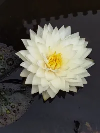 用一颗美好之心，看世界风景。
用一颗快乐之心，对生活琐碎！
