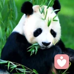 高云流的头像