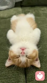 真?的正?強大
不?永是?遠的堅?可不?摧

而是?于敢?承認：
“我，累了
   我，不想再?亮點?任何人了”

然?坦后?然?躺地?平，安心?休地?息

接?自納?己的無力
本身?是就?一種巨?的大?力量