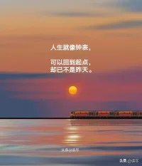 當花在花開的時候，
欣賞之。
當花在花謝的時候，
欣賞之。

花開的時候，
芬芳沁人，蜂蝶自來；
花謝的時候，
蘊藏希望，等待重生。配圖