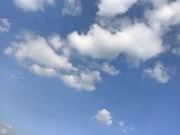 當花在花開的時候，
欣賞之。
當花在花謝的時候，
欣賞之。

花開的時候，
芬芳沁人，蜂蝶自來；
花謝的時候，
蘊藏希望，等待重生。配圖