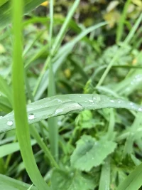 你是怎么看待完美的？
你認為有完美的存在嗎？
如果沒有完美的事物存在，
那你所追求的完美是什么？

所謂的完美，
不是做到極致完美無瑕，
而是接納自己的不完美，
同時看到自己美好的一面。配圖