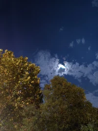 天上的星星，自不言語。
水面的星光，并不澄亮。

但，
當(dāng)你抬頭尋找的時候，
總有一片光穿越黑暗向你撲來。

在你埋頭失落的時候，
總有一個人踏過千山為你而來！配圖