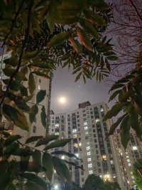 天上的星星，自不言語。
水面的星光，并不澄亮。

但，
當(dāng)你抬頭尋找的時候，
總有一片光穿越黑暗向你撲來。

在你埋頭失落的時候，
總有一個人踏過千山為你而來！配圖