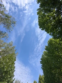 如果你問，
心有多大？

心，
可以很遼闊，
足以容納整個世界。

心，
可以很渺小，
僅能裝進一個人。

你問心有多大，
那么，
你希望世界有多大？配圖