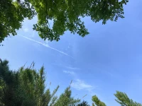 如果你問，
心有多大？

心，
可以很遼闊，
足以容納整個世界。

心，
可以很渺小，
僅能裝進一個人。

你問心有多大，
那么，
你希望世界有多大？配圖
