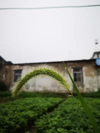 這個世界都在演，
你又何必認真呢？

走過的每一天，
走過的每一步，
最終，
走向了自己。配圖