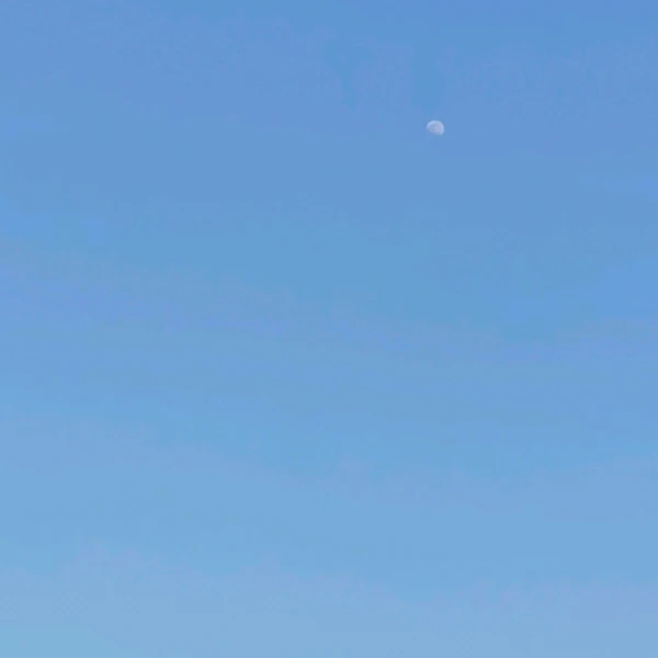 耐心阿紫