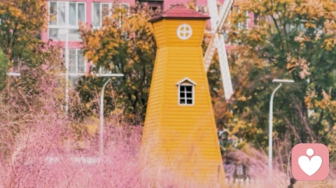 如何活出自己选择的人生\n——一位专科生的自白