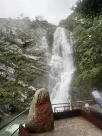 花自向陽開，人終往前走，不要執(zhí)著于沒有意義的人和事，做你自己就好。配圖