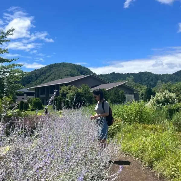 花芝情感