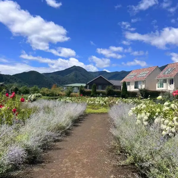 花芝情感