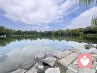 爱自己的明媚，也接受自己的破碎。不做人人喜欢的红玫瑰，只做自己喜欢的向日葵。