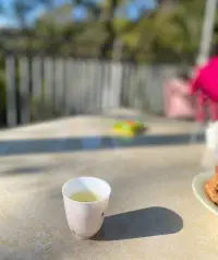 白茶清歡無別事
我在等風也等你??配圖