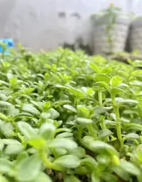 用真心待任何人，但不執著于任何人，活在緣份中，而非關系里。配圖