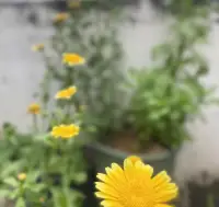 用真心待任何人，但不執著于任何人，活在緣份中，而非關系里。配圖