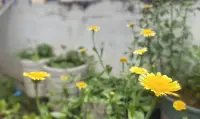 用真心待任何人，但不執著于任何人，活在緣份中，而非關系里。配圖