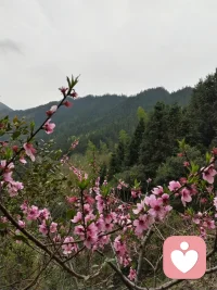 你知道吗？那些看起来平平淡淡的日子里，藏着好多温柔的小确幸呢。
比如清晨窗台上稍稍舒展的叶片，傍晚街角飘来的饭菜香，还有你努力了很久却没察觉的……