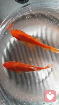 可有，可无，可丢，可留，
取舍之间，便是人生，
能折磨你的永远都是你过于在意的东西……