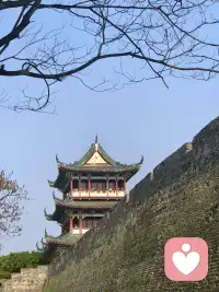 成长不是消灭痛苦，而是在痛苦里找到继续走下去的力量。