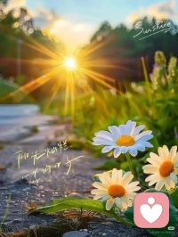 阳光，会照亮每一个抬头的人；生活，也会善待每一个认真的人。不辜负自己，不将就生活。早安！