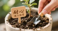 婚姻如盆栽，需要澆水、施肥、修剪。
 用心經營，才能綻放最美的花。配圖