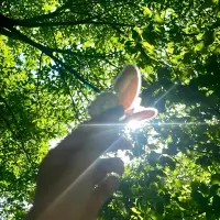 像尊重光明一樣，尊重黑暗，
這樣才能夠照亮自己的黑暗。
