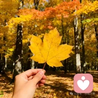 平凡日子，平淡欢喜，
懂自己，爱自己，滋养自己。