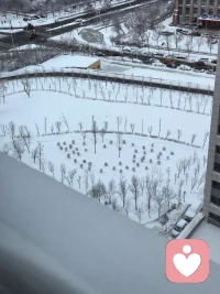 下雪了，雪花❄飘飘洒洒，铺满了地面，窗台，厚厚的一层，挂满了树枝，草丛。宣软洁白，柔化了内心，靓丽了眼睛…