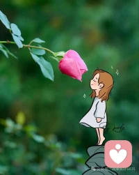 好心态从来都不是天生的，而是慢慢调整出来的。不用强迫自己立刻变得乐观，也不用苛责自己偶尔的低落。难过的时候，允许自己哭一会儿；迷茫的时候，允许自己停下来歇一歇。重要的是，别一直停留在原地，别让负面情绪占满你的心。