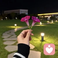 生命有裂缝，才会有阳光照进心里来。没有永恒的黑夜，只有未到的黎明。