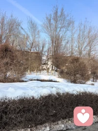 自我赋能
吃完饭，穿上衣服到外面走了一圈。路旁堆积的雪随处可见，感觉有点冻脸，带上了羽绒服的帽子。一路上没闲着。一会儿伸伸胳膊，一会儿踢踢腿，一会儿敲敲胸部、再捶捶肩膀，感觉身体舒展开了，开始跑起来，在一个拐角处的台子上压压腿，这一顿下来，感觉浑身有了热量，后脑勺出了汗。一路不停的运动既给自己赋能，又给自己热身。回来的路上，感觉轻松了很多。配图