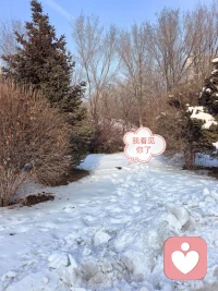 在喧嚣的生活里，为自己留出一段独处的时间，倾听内心的声音。
你不必真的隐居，但可以在生活中划出一片自留地：
专注地做一件小事，无论是做饭、散步，还是阅读。
当你学会与自己安静地相处，你会发现快乐其实很简单，生活也能过得更有滋味配图