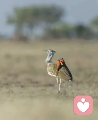 无法沟通的时候，就放弃沟通。人与人之间的相处原则是：我们不同，但都没有错，若无共鸣，沉默即安。思想不在一个高度，尊重就好；三观不在一个层次，微笑就好。配图