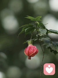 “给欲望做减法”
哲学家苏格拉底说:“知足是天然的财富，欲望是人为的贫穷。”
很多时候人之所以有万千烦恼，
不是因为所得太少，而是因为想要的太多。配图