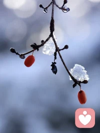 有忙碌，有安静，生活松弛有度。偶尔让自己停下来，安静的思考，在自己喜欢的状态里，一半素心以清简，一半宁静许清欢。
愿你我都能在浮躁的世界里拥有安静的力量。愿我们都能拥有真我、爱、喜悦、平和。