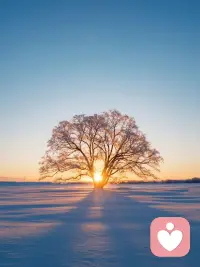 痛苦是一种奇妙的情绪，
它会让你感到自己的世界在崩塌，
也会让你学会如何从废墟中重生。
最终，痛苦会离开，
但它带来的改变，会成为你生命的一部份。配图