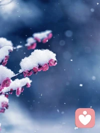 满则溢，空则纳。
不执着于填满每一寸光阴，
把空间留给自己沉淀，
允许生命有喘息和留白的权利。
接纳“未完待续”的从容，这才是智者的气度。
不妨给自己留出一些空白时间，什么都不做，
发发呆，晒晒太阳，或是读一本闲书，听一首老歌。看似虚度的时光里，身心可得放松，能量可以修复配图