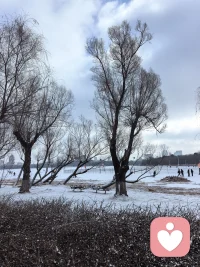 新年新气象，马年健康行。去公园行走，地面落了一层薄薄的雪，有点冷，但天很蓝，人很善，雪很白，偶拍了鸟儿落在高高的树枝上和地上。。配图