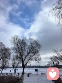 新年新气象，马年健康行。去公园行走，地面落了一层薄薄的雪，有点冷，但天很蓝，人很善，雪很白，偶拍了鸟儿落在高高的树枝上和地上。。配图