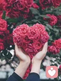 开放自己的心灵吧，请接收你自己，别让自卑再伤害你的幸福。试着和你认为比自己强的人接近，你会发现他亦不过如此；试着做你不敢做的事，你会发现原来自己也很优秀；试着用一种开朗的方法来改变自己的生活，你会发觉以前的自己是那么愚蠢可笑；试着自信的迎接这个世界，你会发现原来自己那么有吸引力。配图