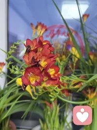 生活从无标准答案，慢一点、淡一点就很好。不浮躁、不焦虑，在平凡里沉淀自己，静心度日，不追不赶，慢慢走，就会遇见生活的温柔。配图