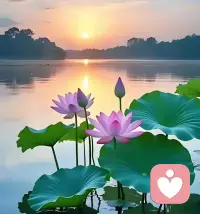 知足常乐，心宽路自阔。心若计较，处处皆烦恼；心宽一寸，路宽一丈。人生苦乐，皆系于心，心态若安好，何事不可解？配图