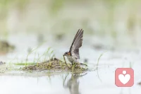 要飞去另一个城市，奔向最亲最爱的人，给自己补充点能量！
​今天二月初二龙抬头，正好赶上春分好时节，祝愿朋友们抬头是希望，是美好，是吉祥，是安康！