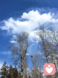 真正熬过最难关的人，
不是没哭过，不是没痛过，
而是痛过之后，选择允许。
 
允许发生，
你才会停止内耗；
停止内耗，
你才会恢复理性；
恢复理性，
你才能找到出路。